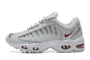 Air Max Tailwind “Pure Platinum” - ELEGANZ OUTLET